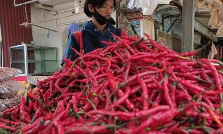 Semakin Pedas! Harga Cabai di Pasar Pandeglang Tembus Rp 80.000/kg