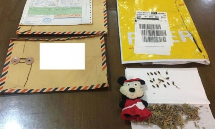 Polda Metro Jaya Gagalkan Pengiriman Biji Kokain ke Luar Negeri