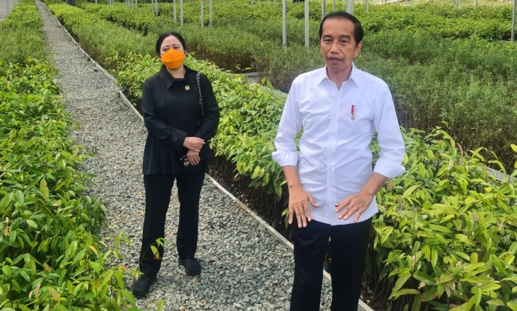 Puan Dampingi Jokowi Selama di IKN, Pertanda Apa?