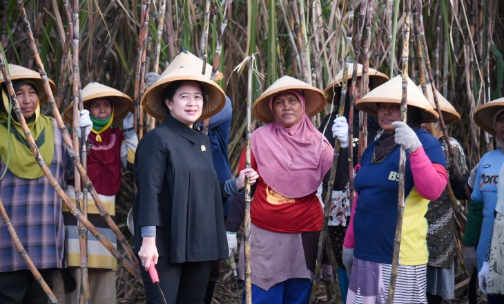 Pemerintah Diminta Perbaiki Tata Kelola Komoditas Pangan Atasi Kenaikan Harga