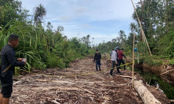 Illegal Logging di Perbatasan Jambi-Palembang
