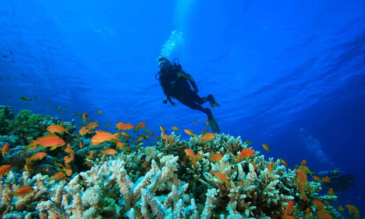 Membuat Liburan Musim Panas yang Penuh Petualangan