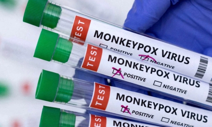 Cegah Pelanggaran, WHO Sebut Monkeypox sebagai Clades I, IIa dan IIb