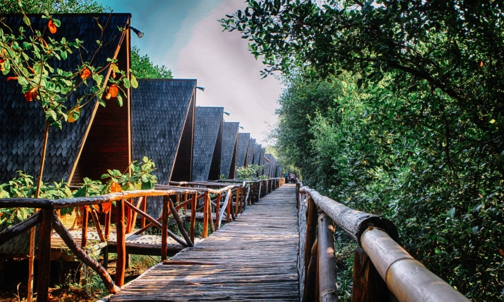 Taman Wisala Alam Angke Kapuk, Liburan di Jakarta yang Menyenangkan