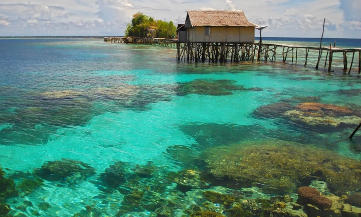 Tomini Bay Surganya Pecinta Diving