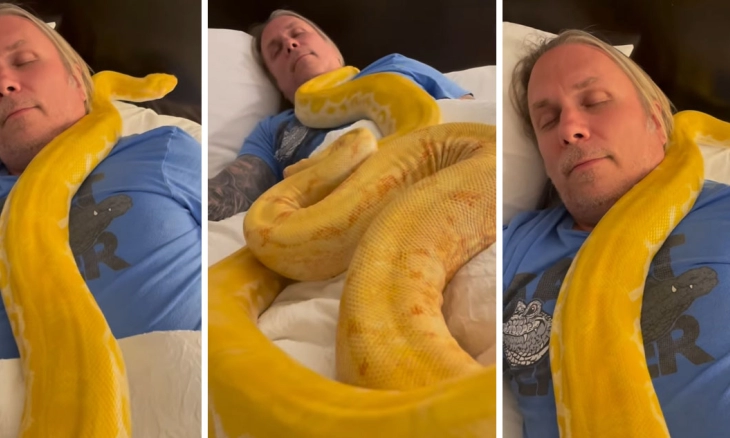 Wow!! Seorang Pria Tidur Nyenyak dengan 2 Ular Piton, Apa yang Terjadi?