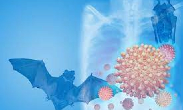 Virus Zoonosis Langya Bisa Ditularkan dari Hewan ke Manusia Ditemukan di China