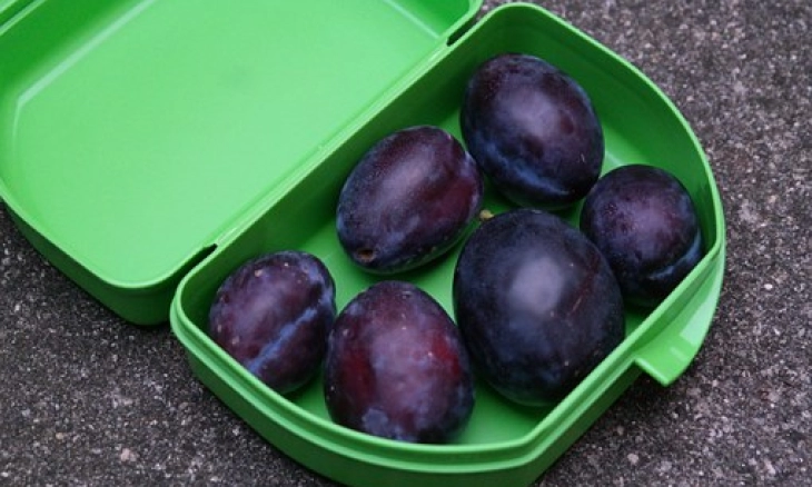 Hilangkan Bau Pada Wadah Plastik Baru