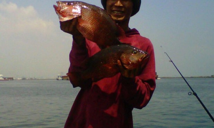 Tips dan Trik yang harus Diketahui Saat Memancing Dipinggir Laut, Patut Dicoba!